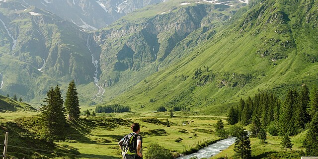 Landschaft
