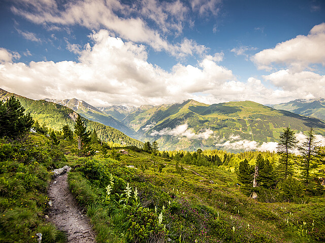 Sommerurlaub im Gasteinertal